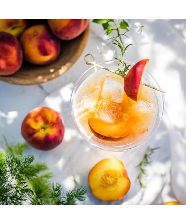  Giusti Giuseppe Giusti Sweet and Sour Ginger Vinaigrette Specialty Ginger (1 x 0.25 L) - Buy Online on GoSupps.com