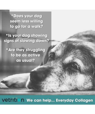 Vetrition Everyday Collagen for Dogs - Joint Supplements for Hip & Joint Care - Improves Skin, Mobility - Vet Approved - 150g Powder - Buy Online on GoSupps.com