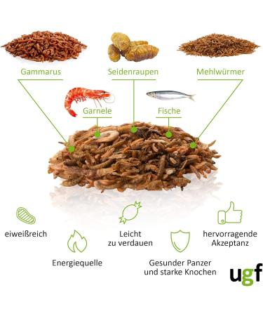 Buy UGF Universal Turtles Food Mix - 500ml Balanced Diet for Water Turtles with Gammarus Silk Caws Mealworms Shrimp & Dried Fish - Buy Online on GoSupps.com