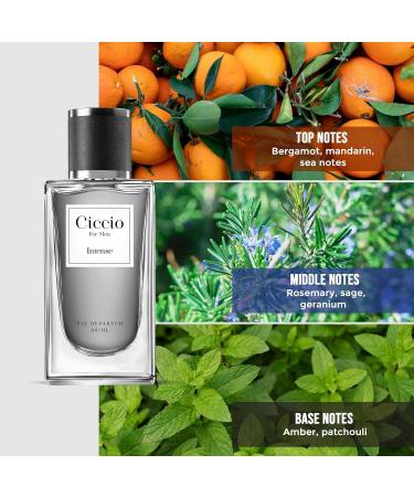 Cicc.io Intense Eau De Perfume for Men with Bergamot Mandarin Rosemary Sage and Amber | Premium Long Lasting Woody Aquatic Fragrance Scent|Perfect Perfume for Summer 100ml - Buy Online on GoSupps.com