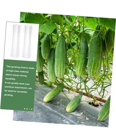 Kisangel 3pcs Vegetable Shaping Mold Cucumbers Pizza Oven Pizza Kit Fruit Shaping Mold Strawberry Loudspeaker - Buy Online on GoSupps.com