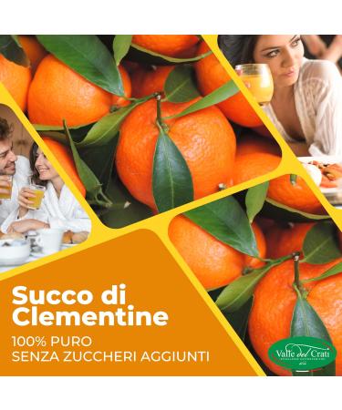 Valle del Crati Clementine Juice 100% Pure No Added Sugars and No Colourings or Preservatives Delicious and Refreshing Juice 12 bottles of 200 ml - Buy Online on GoSupps.com