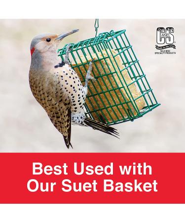 C&S No Melt Peanut Suet Dough Delights for Wild Birds - 12 Pack - Buy Online on GoSupps.com