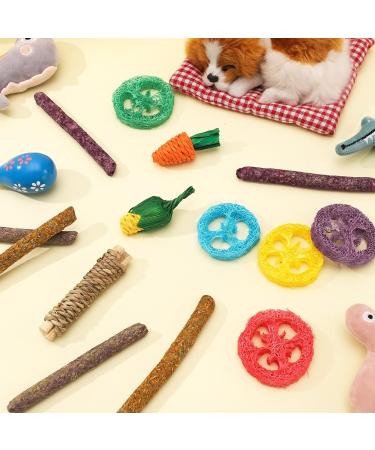 Fanshiontide 14 In 1 Bunny Chew Toys for Teeth Rabbit Chew Toys Timothy Hay Sticks Rabbit Toys Boredom Breaker Loofah Wood Grass Carrots Corn Chew Toys for Rabbit Guinea Pig Hamster Chinchilla - Buy Online on GoSupps.com