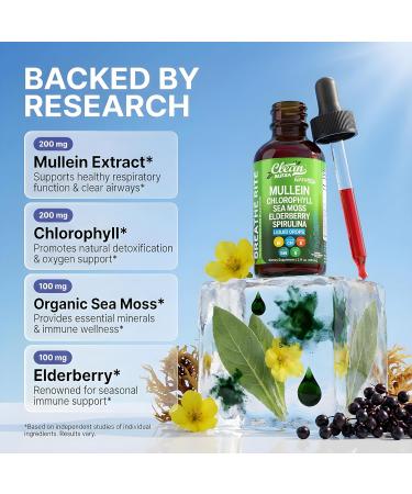 Clean Nutra Mullein Drops for Lungs Organic Chlorophyll Liquid Irish Sea Moss Spirulina Licorice Tart Cherry Lobelia Motherwort & Elderberry Mullein Leaf Extract Tincture Men Women Supplement - Buy Online on GoSupps.com