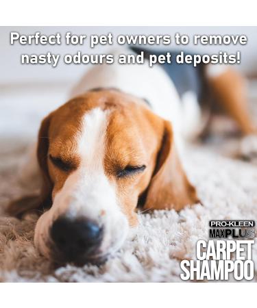 Pro-Kleen MAXPLUS Carpet Shampoo & Upholstery Cleaner Premium Formula to Remove Dirt & Stains Removes Pet Odours Suitable for all Machines (Citrus & Cedar 2 x 5 Litres) - Buy Online on GoSupps.com