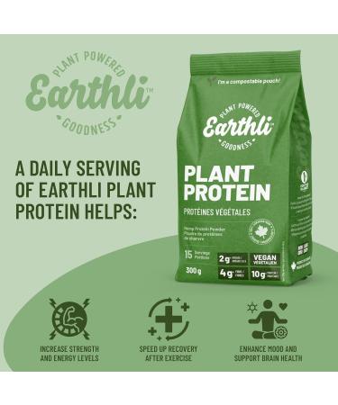 Earthli Plant Protein 300g | Hemp Based Superfood | 22g Protein & 8g Fibre | Keto Friendly Non-GMO Sodium Free | Vegan Plant-based Protein Powder 300 g (Pack of 1) - Buy Online on GoSupps.com
