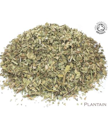 Organic Plantain Leaf Pure Herbal Infusion (25 Unbleached Tea Bags - 50g) - Buy Online on GoSupps.com