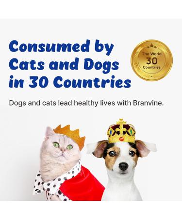 Branvine Eye Guardian for Cats and Dogs - Supports Eye Health Tear Staining Allergy and Wound (117g) with MaquiBright (Normal Weight) - Buy Online on GoSupps.com
