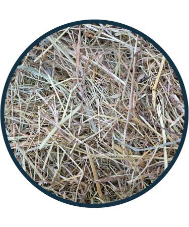 Anibest Prairie Hay 1kg - Buy Online on GoSupps.com