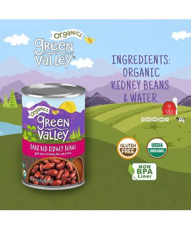 Green Valley Organics Dark Red Kidney Beans | Certified Organic | Mild Taste & Firm Texture | Good Source of Fiber & Protein | 15.5 oz (Pack of 4) - Buy Online on GoSupps.com