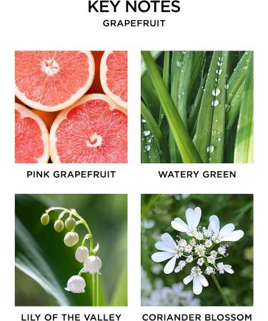 NEST Fragrances Grapefruit Liquid Hand Soap 10 Fl Oz - Buy Online on GoSupps.com
