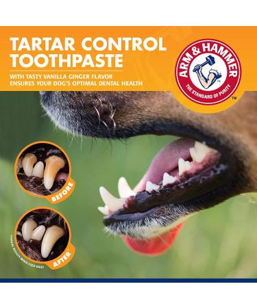 Arm & Hammer Tartar Control Dental Kit for Puppies - Vanilla Ginger | 4 Piece Set - Buy Online on GoSupps.com