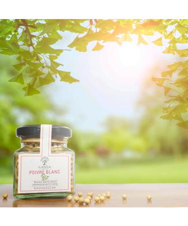 White pepper grains 65g ORGANIC - Ilanga Nature - Madagascar - Buy Online on GoSupps.com