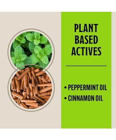 Grandpa Gus's Extra-Strength Mouse Repellent 1.75 Oz - Cinnamon/Peppermint Oils (10 Pouches) - Buy Online on GoSupps.com