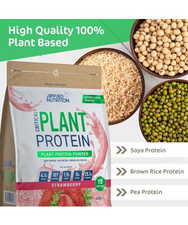 Applied Nutrition Critical Plant Protein - Vegan Chocolate Protein Powder (450g) - Buy Online on GoSupps.com