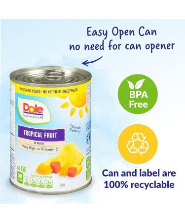 Dole Canned Fruit Tropical Fruit Salad in Water Non-GMO No Sugar Added & No Artificial Sweeteners 540 ml 12 Count Tropical Fruit Salad 540ml - Buy Online on GoSupps.com