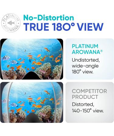 Platinum Arowana Full Face Snorkel Mask - Snorkeling Gear for Adults and Kids - Black/Silver - Large/X-Large - Buy Online on GoSupps.com