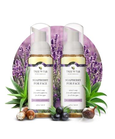 Tree To Tub Sensitive Skin Face Wash for Dry Skin - Moisturizing Gentle Face Cleanser for Women & Men, Hydrating Foaming Facial Cleanser, Daily Face Soap w/ Organic Aloe Vera, All Natural Lavender Oil 2 Pack