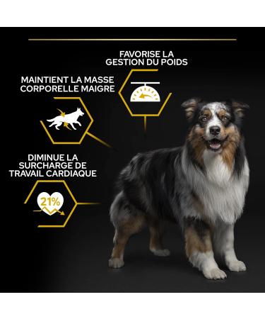 PURINA PRO PLAN | Adult 1+ Light/Sterilised | Rich in Chicken | Dry Food | Dog | 7kg Bag - Buy Online on GoSupps.com