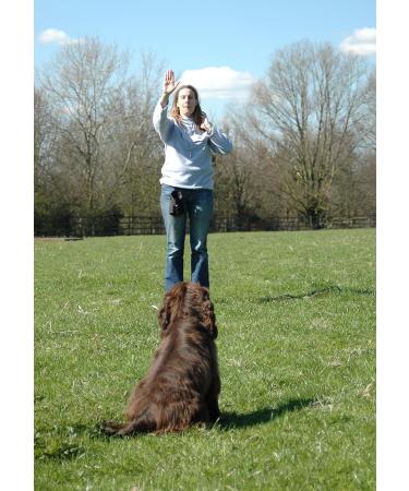 Company of Animals High Frequency Dog Whistle - Adjustable & Easy to Use for Training - Ideal for Sensitive Dogs - Recall & Puppy Training - Buy Online on GoSupps.com