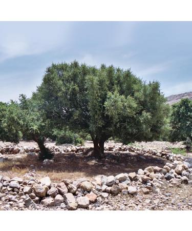  Arganiae Pure Argan Oil 250 ml - Buy Online on GoSupps.com