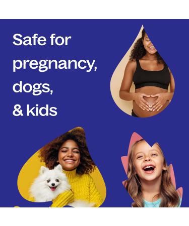 Plant Therapy Tranquil Essential Oil Blend 10 mL (1/3 oz) 100% Pure Pre-Diluted Roll-On Natural Aromatherapy Excellent for Meditation and Relaxation - Buy Online on GoSupps.com