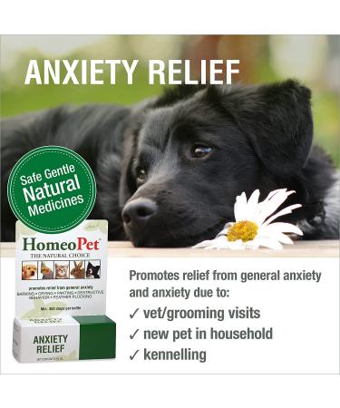 HomeoPet Anxiety Relief 15 ml | Natural Pet Calming Solution - Buy Online on GoSupps.com
