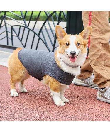 Buy Anti-Stress Vest for Dogs | Soothing Dog Coat for Anxiety Relief | Soft Gray Dog Anxiety Shirt (S) - Buy Online on GoSupps.com