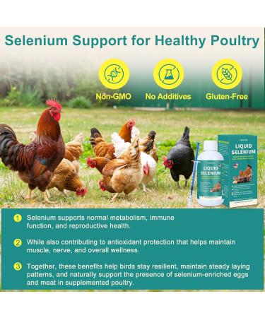Liquid Selenium for Poultry Supports Muscle Function Stress Response Immune Balance Antioxidant Support Suitable for All Poultry 3.4 fl oz - Buy Online on GoSupps.com
