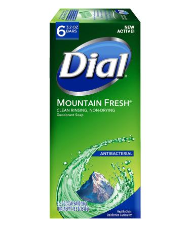 Dial Antibacterial Bar Soap Mountain Fresh 3.2 Ounce 6 Bars Mountain Fresh 3.2 Ounce (Pack of 6)