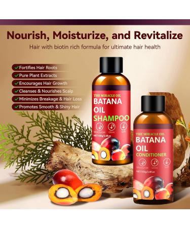Batana l Shampoo und Conditioner Set Batana Haar Shampoo Set f r Haarwachstum Shampoo Conditioner f r Wiederherstellung besch digtes Haar d nnes Haar beseitigt Spliss 0.5 g (Lot de 2) - Buy Online on GoSupps.com