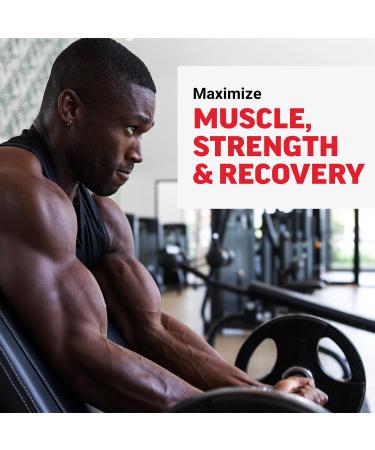 Force Factor Creatine Monohydrate Gummies, 5g Dose for Men & Women to Support Muscle, Strength, Recovery, Cognitive Health & Memory, Mixed Berry, 150 Gummies Creatine Gummies Mixed Berry 150 Count (Pack of 1) - Buy Online on GoSupps.com