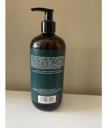 Crabtree & Evelyn London Windsor Forest - Luxury Skincare for International Shipping - Buy Online on GoSupps.com