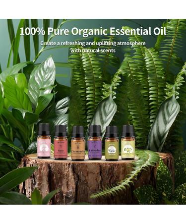 Rose Cherry Lavender Gardenia Ylang Ylang Chamomile Essential Oils Set 100% Pure Natural Aromatherapy Oil Gift kit for Diffuser Home Care Candle Making Aromatherapy Humidifiers 6PCS - 02 20.00 ml (Pack of 3) - Buy Online on GoSupps.com