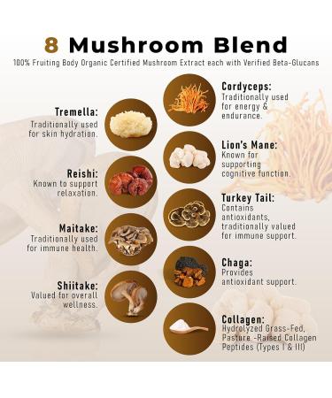 PowderVitamin Mushroom Coffee Duo 8 Fruiting Body Mushrooms & Certified Mold & Mycotoxin Free Focus Energy & Immunity Support Joint Skin and Digestive Health (15+30 Servings Bundle) - Buy Online on GoSupps.com