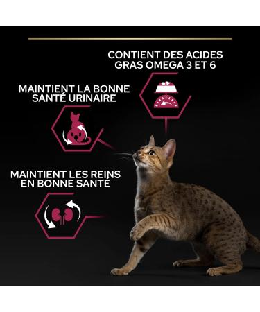 PURINA PRO PLAN | Sterilised Adult 1+ Savoury Duo | Rich in Duck and Liver | Dry Food | Cat | 3kg Bag - Buy Online on GoSupps.com