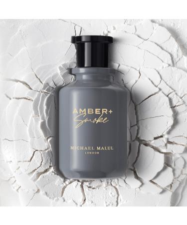 Michael Malul Amber + Smoke Eau de Parfum for Men - 100ml | 3.4oz 3.38 Fl Oz (Pack of 1) - Buy Online on GoSupps.com