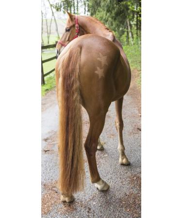 Kerbl 321900 Shearing Template for Horses - Set of 3 | International Shipping Available - Buy Online on GoSupps.com