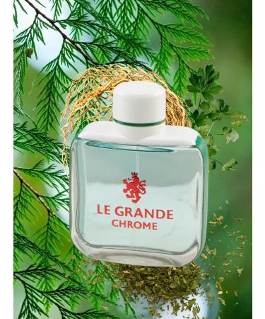LE GRANDE CHROME EAU DE TOILETTE 3.4 FL. Oz. Citric Fresh fragrance for men - Buy Online on GoSupps.com