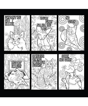 Dessins de coloriage f lins Livre de coloriage pour chats Livre th me et d tente pour chats Livre de coloriage d taill extravagant pour chats et anti-stress Kitten Coloring Book+24 painting pens - Buy Online on GoSupps.com