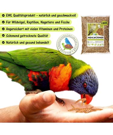 Flourworms Dried 1kg - Premium Insect Snack for Birds Fish Reptiles & Rodents | All-Year-Round Bird Feed & Squirrel Food - 6.5L (1 Pack) - Buy Online on GoSupps.com