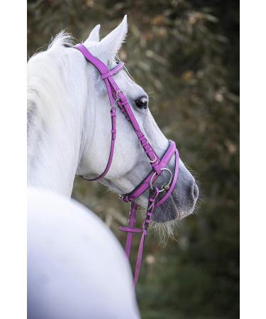 Indira Bridle Pro for Full Warmblood - Pink 02 | Premium Equestrian Gear Shipping Worldwide - Buy Online on GoSupps.com