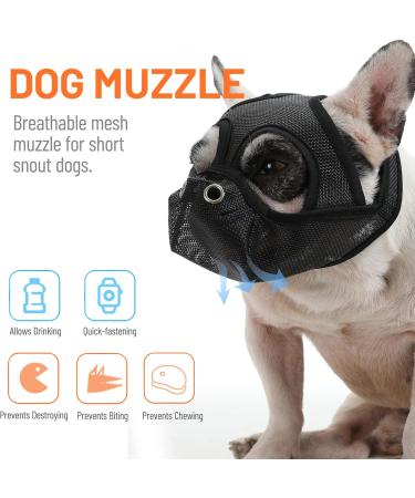 ranzivoo Dog Muzzle Breathable Mesh for Short Snout Dogs Biting Barking Small Black - Buy Online on GoSupps.com