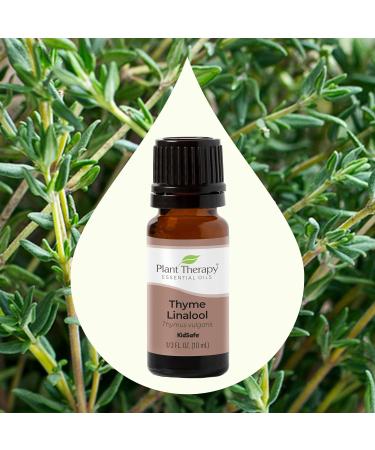 Buy Plant Therapy Thyme Linalool Essential Oil 10 mL - 100% Pure Undiluted Therapeutic Grade - International Shipping Available - Buy Online on GoSupps.com