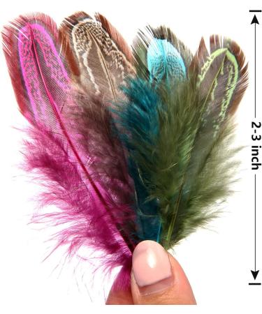 THARAHT 120PCS Natural Pheasant Plumage Feathers - 2-3 Inches, Mix Colour for Sewing, Crafts, Clothing, Jewelry, Wedding, Hair, Hats, Dream Catcher Decoration - Buy Online on GoSupps.com