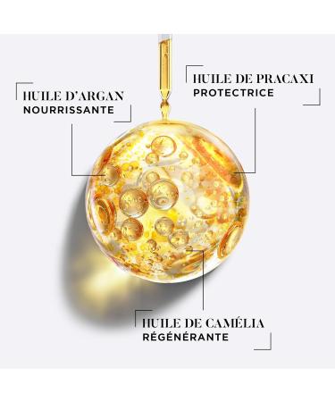 DESSANGE - Extreme Nutri-Regenerating Shampoo 3 Oils - Formula Enriched With Argan Camellia & Pracaxi Oils - Intensely Nourishes & Restores Fiber - For Dry & Denatured Hair - 250 ml - Buy Online on GoSupps.com