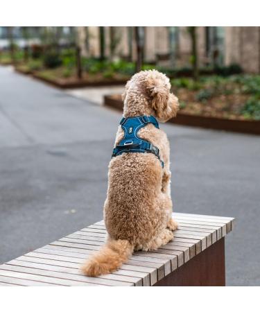 DOG Copenhagen Comfort Walk Pro Dog Harness - Mocca | Premium Adjustable Dog Harness for Ultimate Comfort & Style - International Shipping Available - Buy Online on GoSupps.com