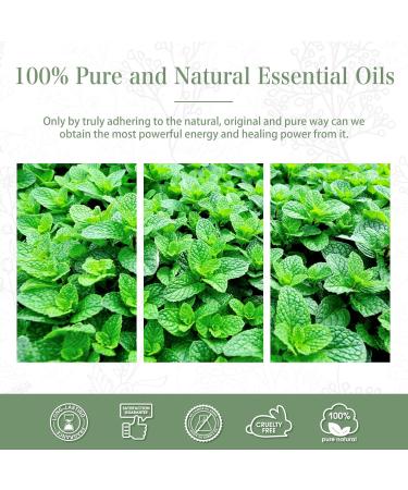 Premium Grade 100ML PHATOIL Spearmint Essential Oil for Aromatherapy and Diffuser - Pure Spearmint Oil for Humidifier and Candle Making - Buy Online on GoSupps.com