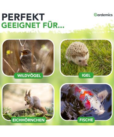 Gardemics Dried Mealworms 5L - Premium Insect Feed for Birds Fish Reptiles & More | 800g - Buy Online on GoSupps.com